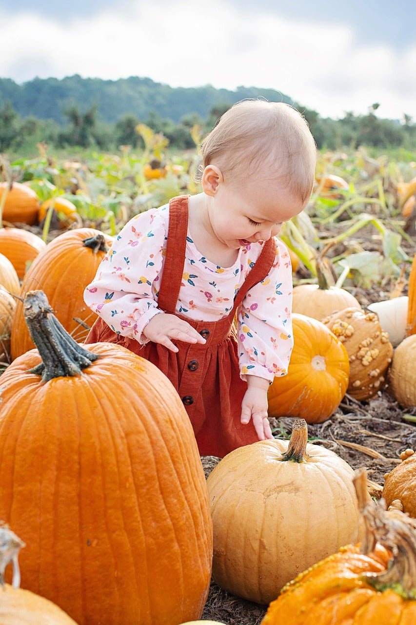 Toddler's Clothes